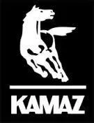 ТС-107-01 (05) Термостат КамАЗ, Бычок, Волга