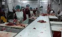 Линия обвалки