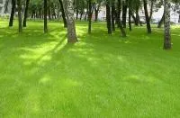 Газон Парковый (мешок 20 кг), СП 5359
