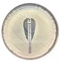 Питательная среда Агар Мюллера-Хинтона (Mueller Hinton Agar)
