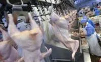 Линия убоя птицы