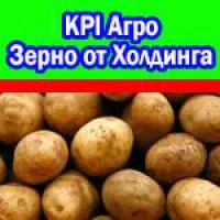 Картофель без ГМО