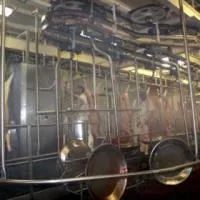 Линия убоя свиней Красные и белые органы