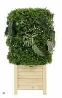 Фито Форма мох Марти кашпо Dekollete Куб 40